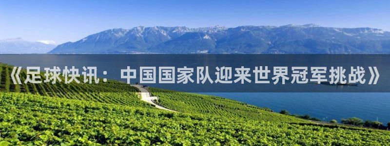 《足球快讯：中国国家队迎来世界冠军挑战》