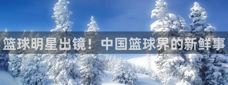 篮球明星出镜！中国篮球界的新鲜事