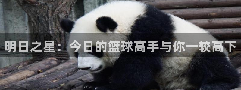 明日之星：今日的篮球高手与你一较高下