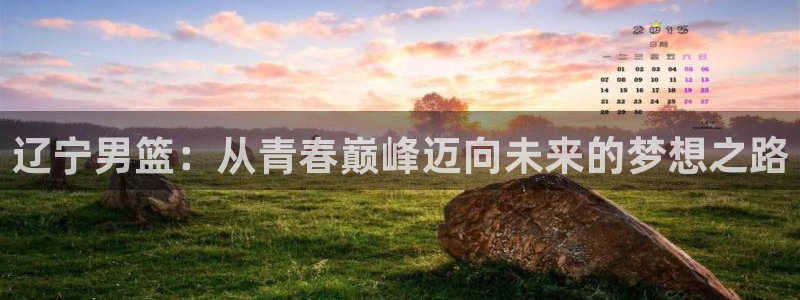 辽宁男篮：从青春巅峰迈向未来的梦想之路