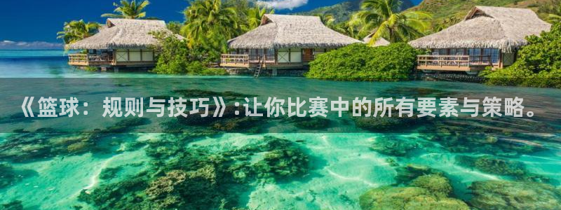 《篮球：规则与技巧》:让你比赛中的所有要素与策略。