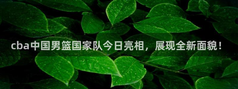 cba中国男篮国家队今日亮相，展现全新面貌！