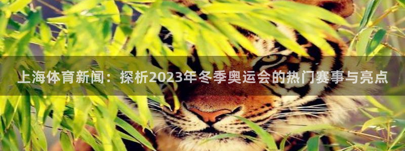 上海体育新闻：探析2023年冬季奥运会的热门赛事与亮点