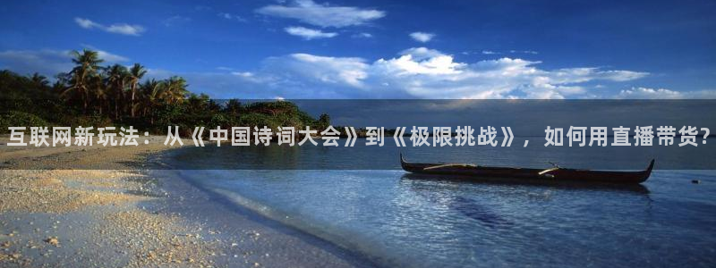 互联网新玩法：从《中国诗词大会》到《极限挑战》，如何用直播带货?