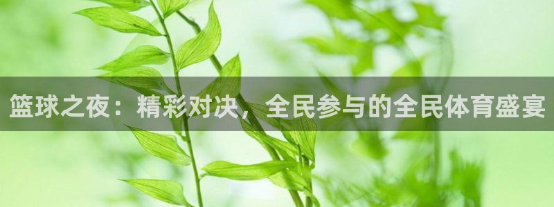 篮球之夜：精彩对决，全民参与的全民体育盛宴