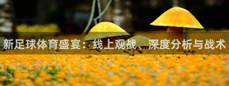 新足球体育盛宴：线上观战、深度分析与战术