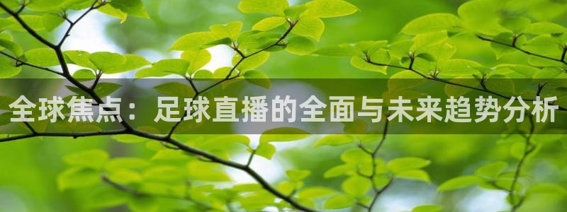 全球焦点：足球直播的全面与未来趋势分析
