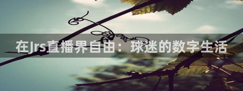 在Jrs直播界自由：球迷的数字生活