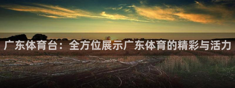 广东体育台：全方位展示广东体育的精彩与活力