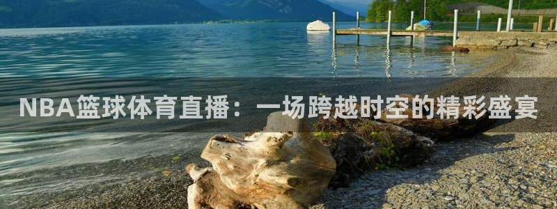 NBA篮球体育直播：一场跨越时空的精彩盛宴