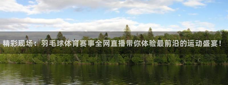 精彩现场：羽毛球体育赛事全网直播带你体验最前沿的运动盛宴！