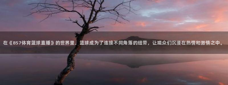 在《857体育篮球直播》的世界里，篮球成为了连接不同角落的纽带，让观众们沉浸在热情和激情之中。