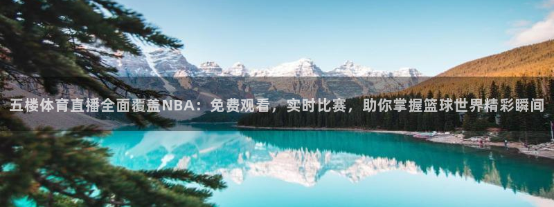 五楼体育直播全面覆盖NBA：免费观看，实时比赛，助你掌握篮球世界精彩瞬间