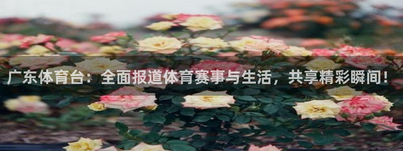 广东体育台：全面报道体育赛事与生活，共享精彩瞬间！