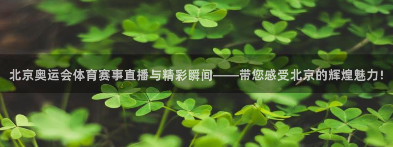 北京奥运会体育赛事直播与精彩瞬间——带您感受北京的辉煌魅力!