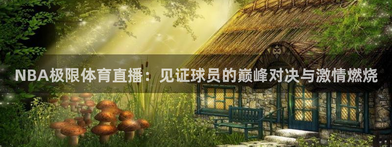 NBA极限体育直播：见证球员的巅峰对决与激情燃烧