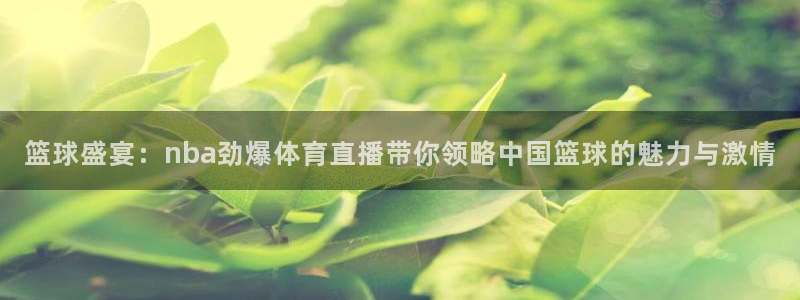 篮球盛宴：nba劲爆体育直播带你领略中国篮球的魅力与激情