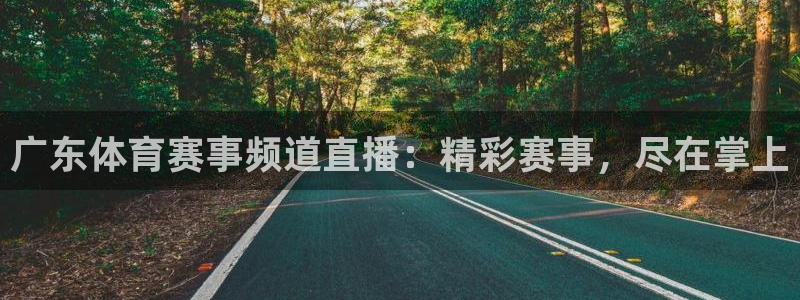 广东体育赛事频道直播：精彩赛事，尽在掌上