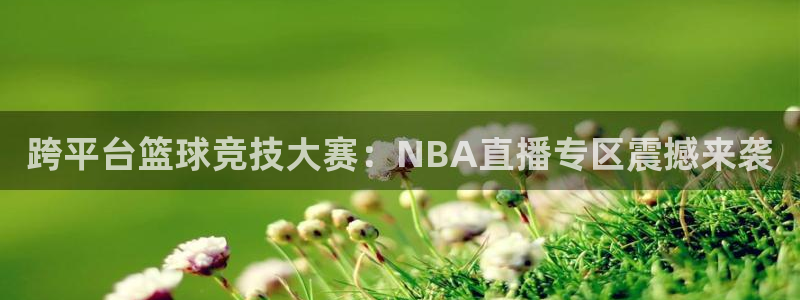 跨平台篮球竞技大赛：NBA直播专区震撼来袭