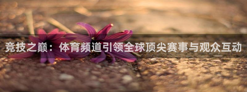 竞技之巅：体育频道引领全球顶尖赛事与观众互动