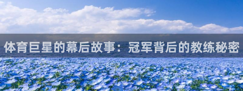 体育巨星的幕后故事：冠军背后的教练秘密