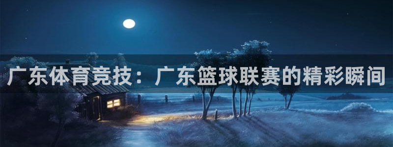 广东体育竞技：广东篮球联赛的精彩瞬间