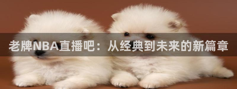 老牌NBA直播吧：从经典到未来的新篇章