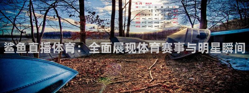 鲨鱼直播体育：全面展现体育赛事与明星瞬间