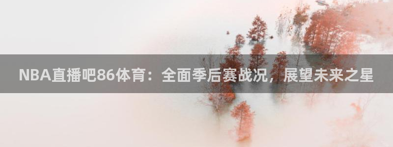 NBA直播吧86体育：全面季后赛战况，展望未来之星
