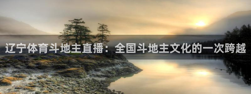辽宁体育斗地主直播：全国斗地主文化的一次跨越