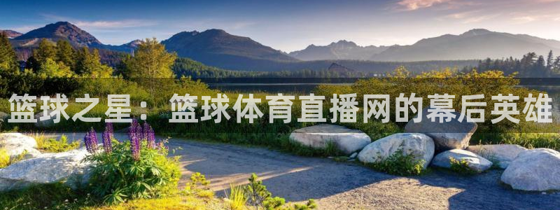 篮球之星：篮球体育直播网的幕后英雄