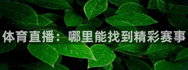 体育直播：哪里能找到精彩赛事