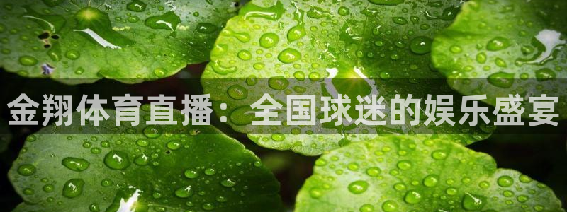 金翔体育直播：全国球迷的娱乐盛宴