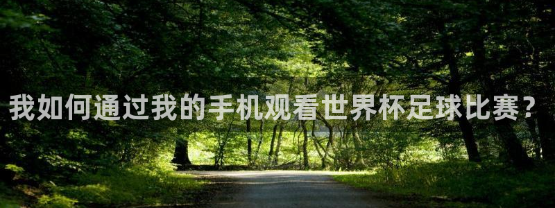 我如何通过我的手机观看世界杯足球比赛？