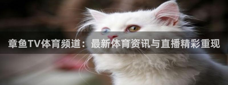 章鱼TV体育频道：最新体育资讯与直播精彩重现