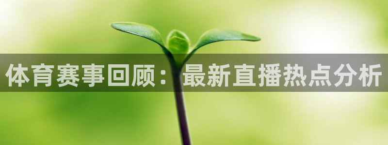 体育赛事回顾：最新直播热点分析