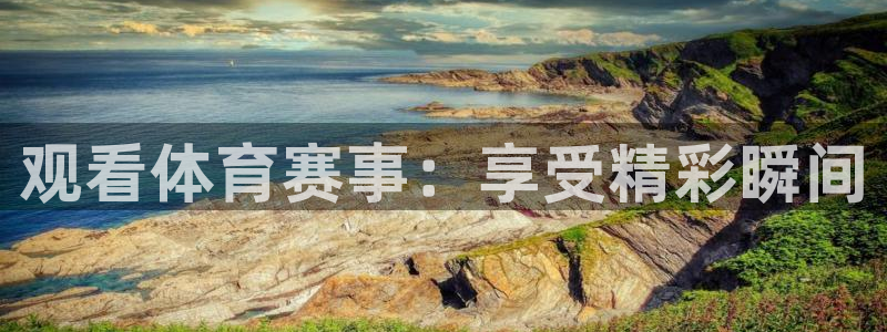 观看体育赛事：享受精彩瞬间