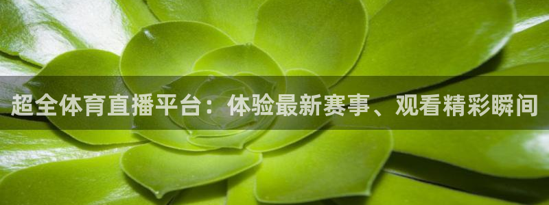 超全体育直播平台：体验最新赛事、观看精彩瞬间