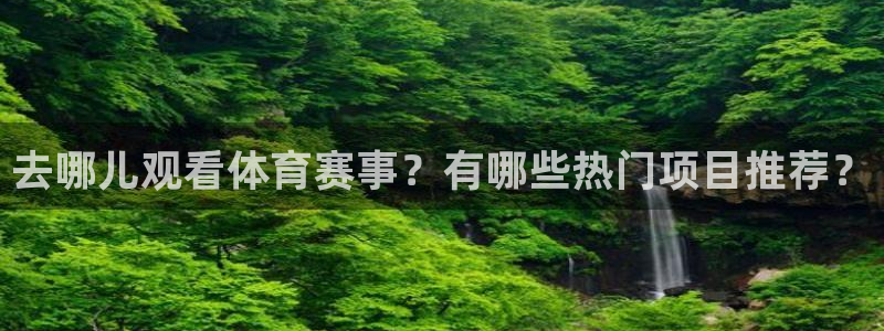 去哪儿观看体育赛事？有哪些热门项目推荐？