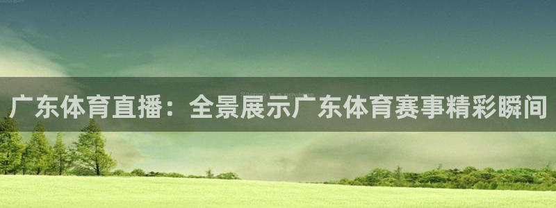 广东体育直播：全景展示广东体育赛事精彩瞬间