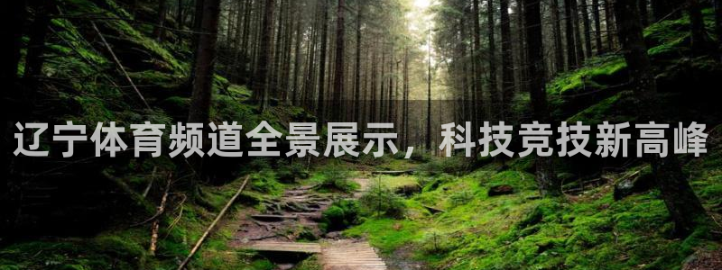 辽宁体育频道全景展示，科技竞技新高峰