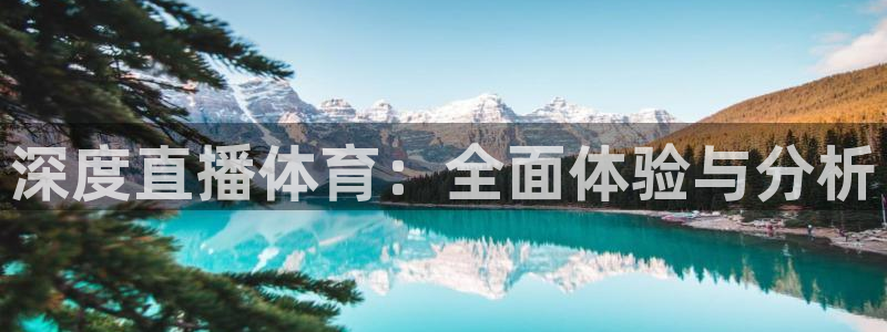 深度直播体育：全面体验与分析