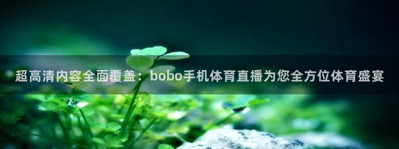 超高清内容全面覆盖：bobo手机体育直播为您全方位体育盛宴
