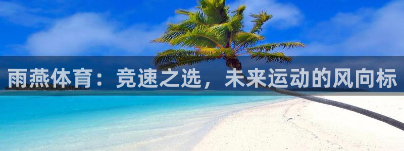 雨燕体育：竞速之选，未来运动的风向标