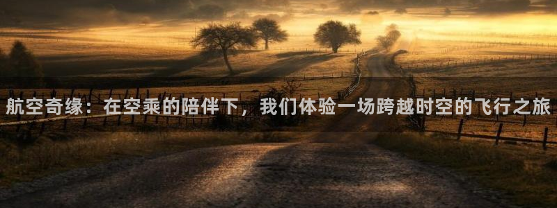 航空奇缘：在空乘的陪伴下，我们体验一场跨越时空的飞行之旅