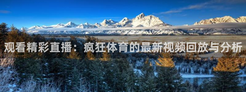 观看精彩直播：疯狂体育的最新视频回放与分析