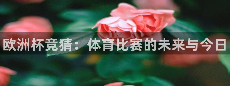 欧洲杯竞猜：体育比赛的未来与今日