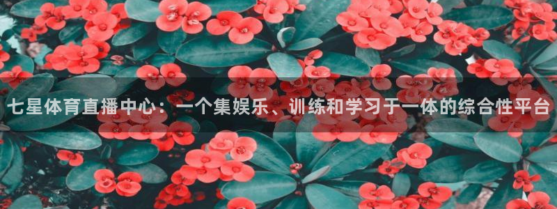 七星体育直播中心：一个集娱乐、训练和学习于一体的综合性平台