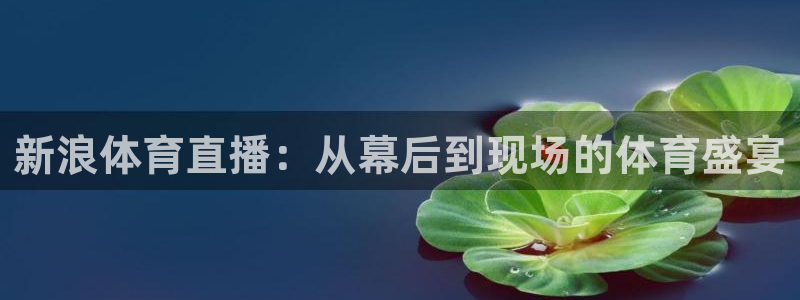 新浪体育直播：从幕后到现场的体育盛宴