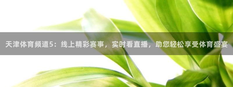 天津体育频道5：线上精彩赛事，实时看直播，助您轻松享受体育盛宴